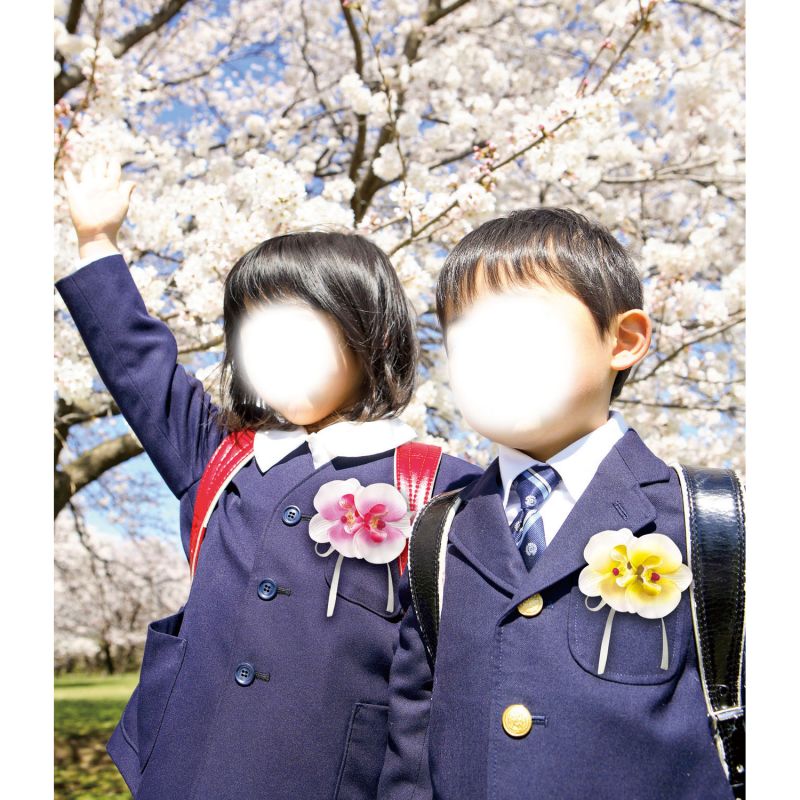 アーテック コサージュ 胡蝶蘭 ピンク (085047)