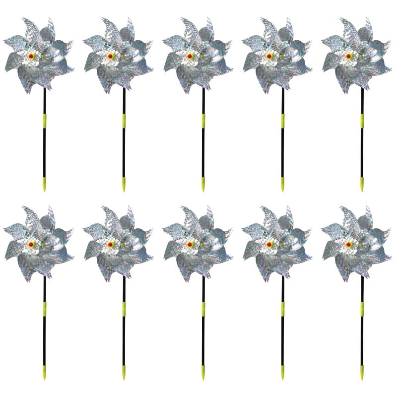 �����ƥå� ��Ļ���饭�餫������� 10�ĥ��å� (035210) ��̤������