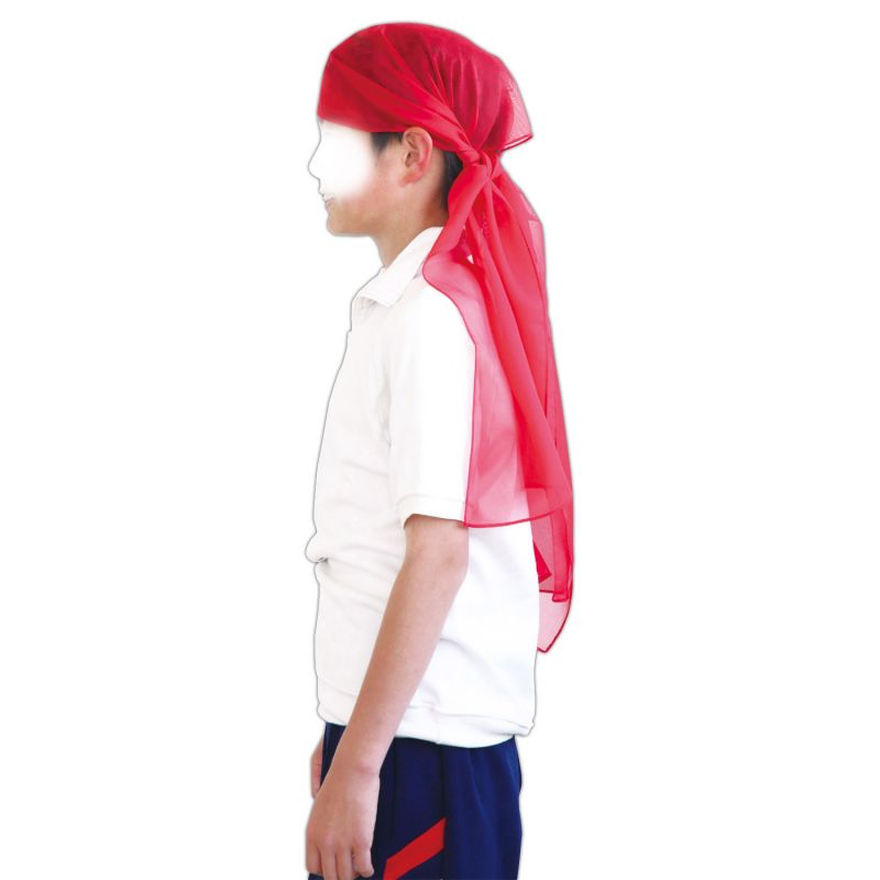 TOSHIBA 東芝 単1形アルカリ乾電池 4本入 LR20L 4MP メール便対応（1個まで） 4904530024962