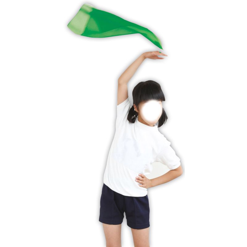 �롼���ե��顼�������� �� (002326)