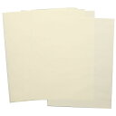 A4ペーパー単品クロッキー用紙2穴100枚 (003451)