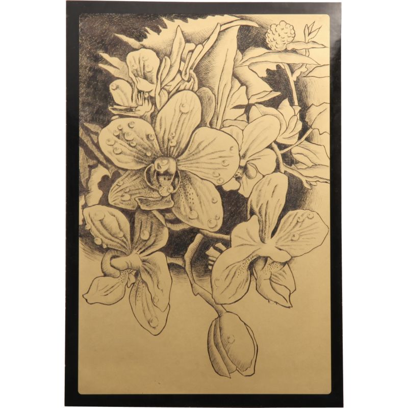 �����١���������å��ܡ��� ������� (013123) ��̤������(���ʲ����Ϻ�����Ȥʤ�ޤ���)