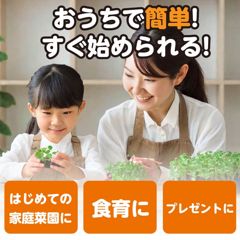 アーテック お家で楽しく栽培キット ラディッシュ (102930)