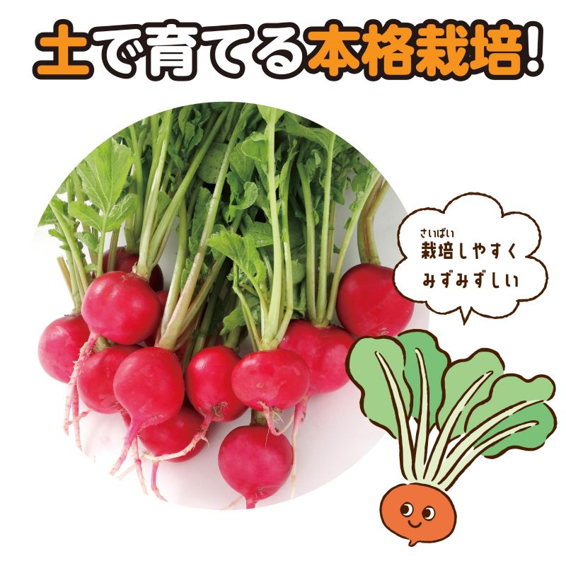 �����ƥå� ���Ȥǳڤ������ݥ��å� ��ǥ��å��� (102930)