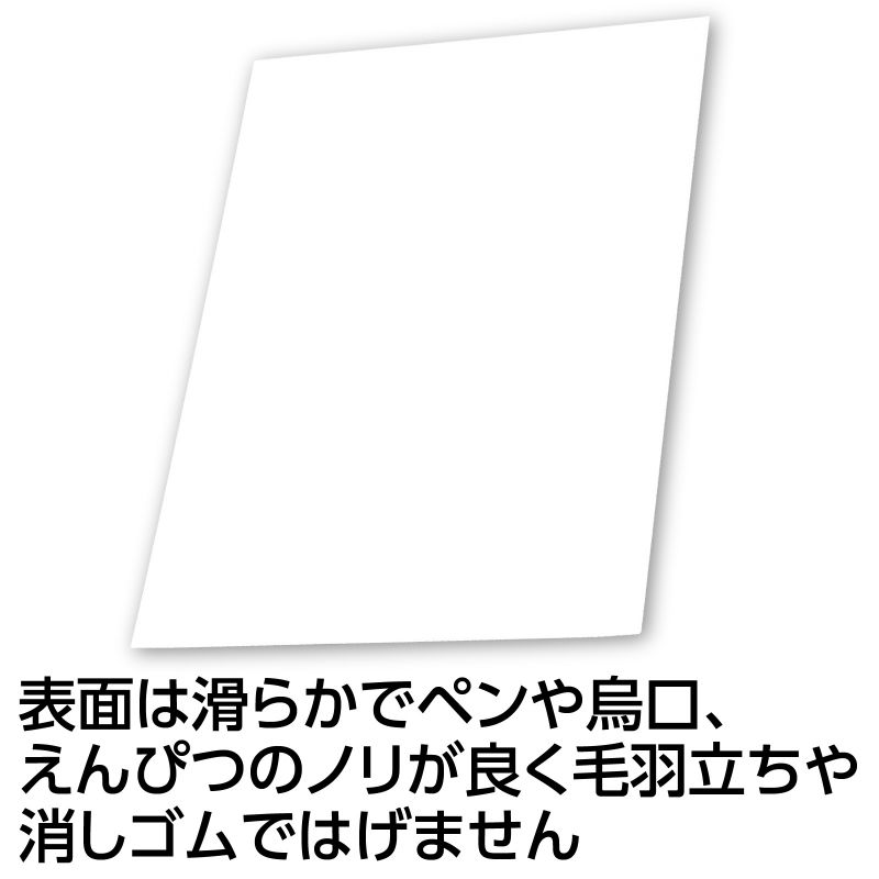 �����ƥå� A4����Ȼ� 100���� 180kg (136550)