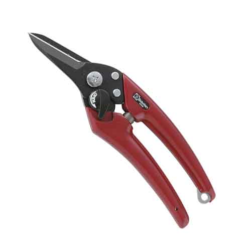 サボテン レディース剪定鋏(スリム) (EX-7) [キャンセル・変更・返品不可]