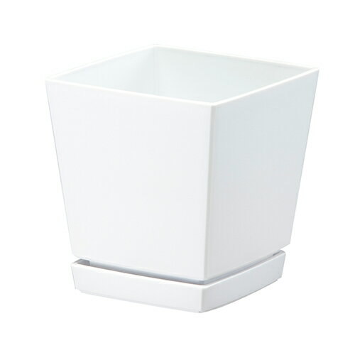 ヤマト クエンチローポット 皿付5号 (0.8L ホワイト)