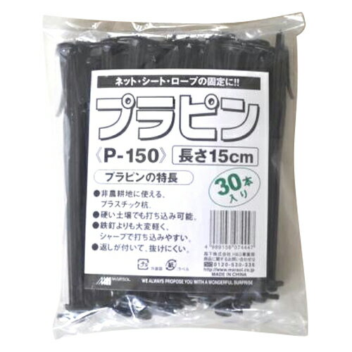 日本マタイ プラピン 15cm (30ポンイリ)