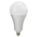 SK11 LED交換球 32W (LDA32D-G-SK)