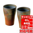 作家手づくり 麦酒杯2客 (KEMB2-080) [キャンセ...