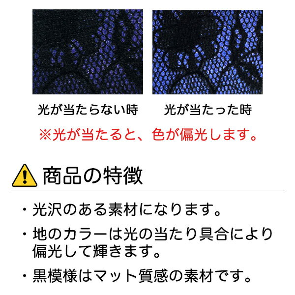 [ミラー付き] SAMSUNG サムスン Galaxy S10+ SC-04L docomo/SCV42 au 専用 手帳型スマホケース 横開き 本革 玉虫カラー レース柄 パープル (LW24-H) [キャンセル・変更・返品不可][代引不可][同梱不可]