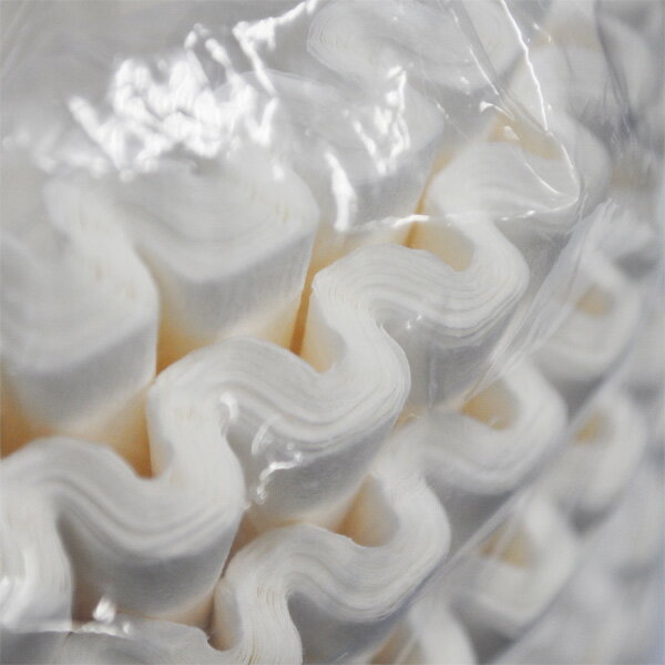 カリタ 立ロシ 25cm 250枚入 [キャンセル・変更・返品不可]