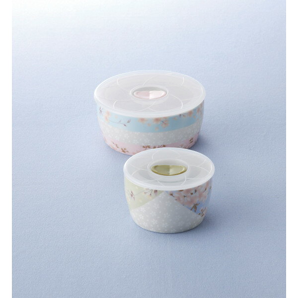 麗花 レンジパック2点セット(MS) (KA‐UK01) [キャンセル・変更・返品不可]