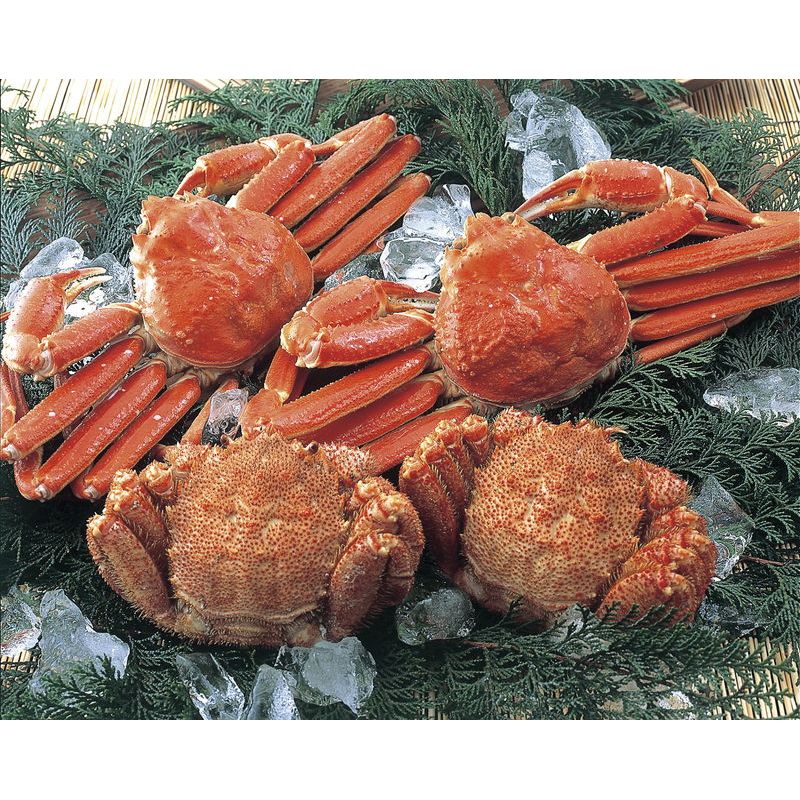 新・豪華ずわい毛がに4尾セット (504