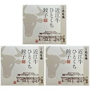 牛肉商徳志満 近江牛ひとくち餃子 (TG-3)