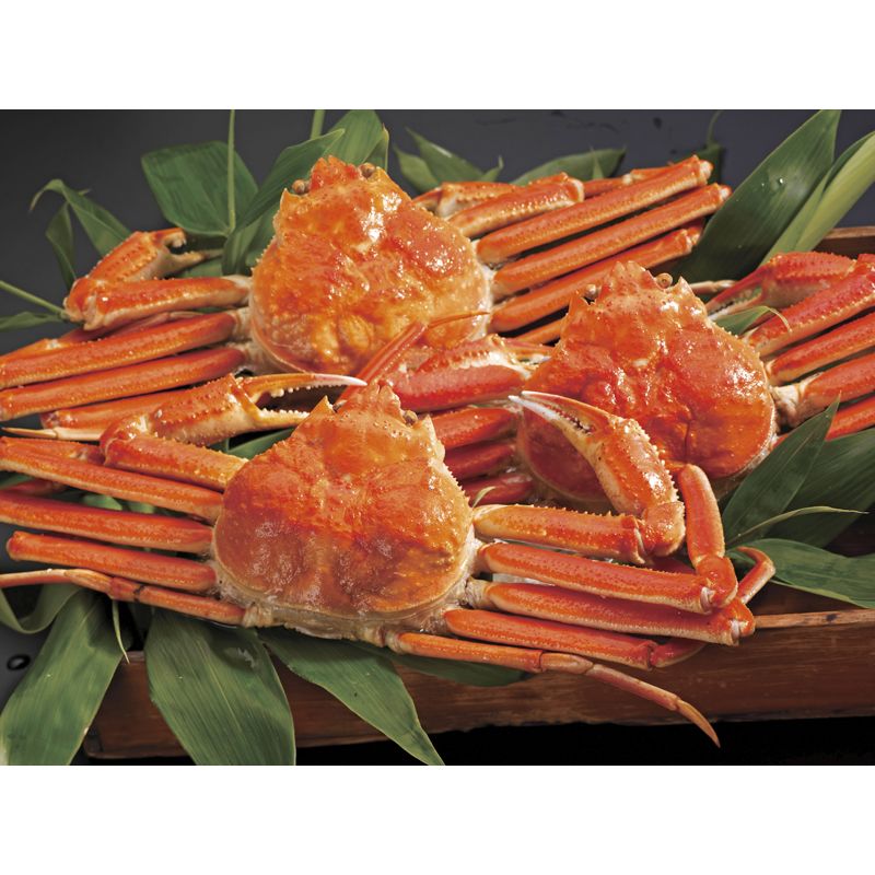 お歳暮 北海道産ずわいがに3尾 (500*3) [キャンセル・変更・返品不可][代引不可][同梱不可][ラッピング不可][海外発送不可]