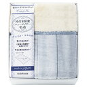 nishikawa 日本製 軽量衿付ニューマイヤー毛布 (2019-79937)