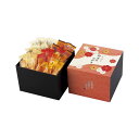 お中元 いろどり野菜のおかき No50 (IR-4N)