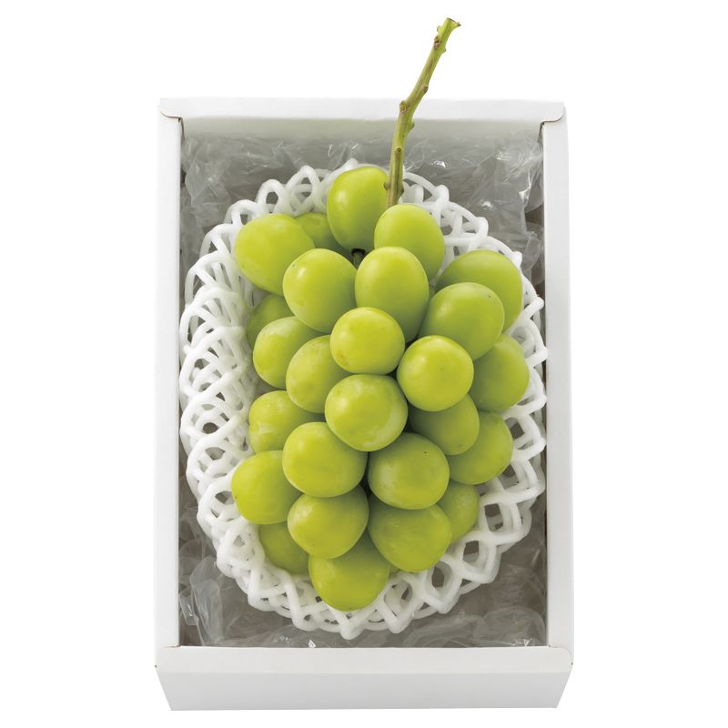 お歳暮 シャインマスカット (2512163)