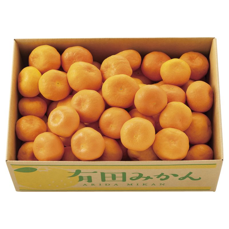 お歳暮 有田みかん 4.5kg (2512108)(4)