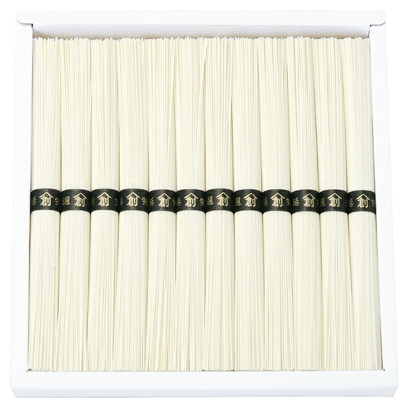 島原手延そうめん (B-20)