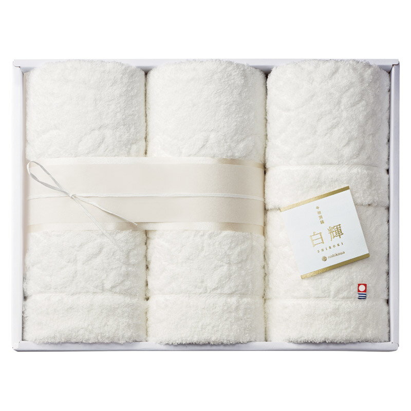 白輝 バス2P・フェイスタオル2P (TT88140091)