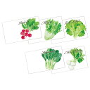 横型イラスト種子(1P) 野菜の種子 ※色・柄指定不可