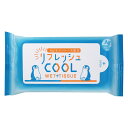 リフレッシュCOOLウエット10枚入 (WT-017)