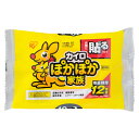 ぽかぽか家族貼るレギュラー 10枚 (PKN-10HR)