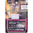ブレイス 普通乗用車/大型車用 DC12V/24V共用 LED ルーム球 6SMD BE-771