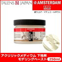 AMSTERDAM アムステルダム アクリリックメディウム 下地剤 モデリングペースト 1003 250ml T2417-3003 403697