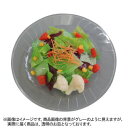 日本職人が作る 食品サンプル サラダ IP-543(3)
