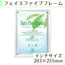 A.P.J フェイスファイブフレーム インチサイズ(203×255mm)対応 クリア 0030726962