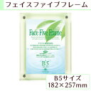 A.P.J フェイスファイブフレーム B5(182×257mm)対応 グリーン 0030736817