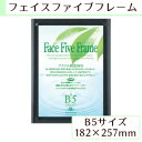 A.P.J フェイスファイブフレーム B5(182×257mm)対応 スモーク 0030736749