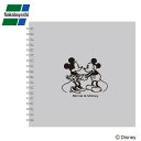 ナカバヤシ リング式アルバム ディズニー かける〜のエアー台紙 Sサイズ ミッキー&ミニー グレー アKA-SWF-201-N
