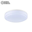 オーム電機 OHM LED内玄関灯 昼光色 LT-Y18D-G