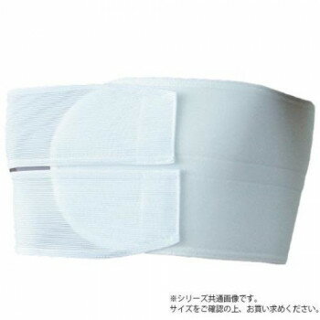 ���ܱҺ� ���������ӥ˥塼�Х��ȥ������֥� L 80cm��100cm 1�� 617