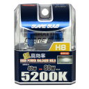 グレアーバルブ H8 スーパーホワイト BE-309