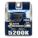 グレアーバルブ HB4 スーパーホワイト BE-313