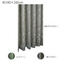 川島織物セルコン アッセル 1.5倍形態安定プリーツ ドレープカーテン 1枚 100×200cm DF1137S BR・ブラウン