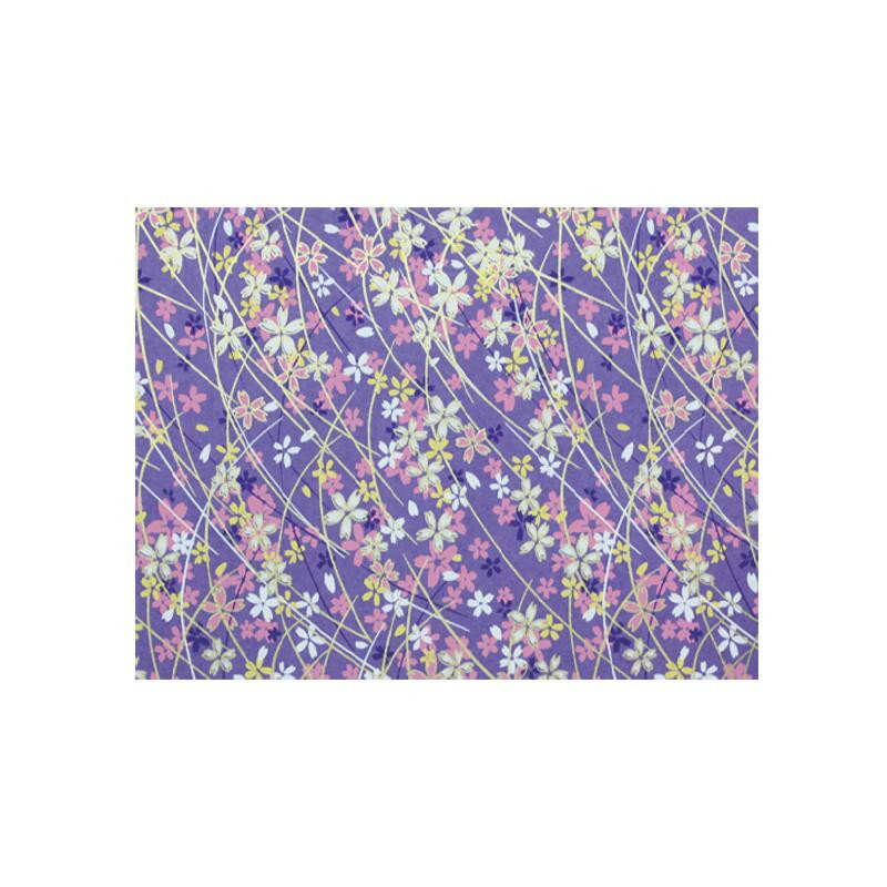 ͧ 146 1紬 CM146 [åԥԲ][Բ][ƱԲ]