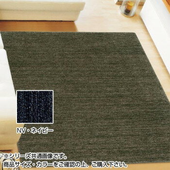 Door Mats - アスワン ムシカビクリーンカーペット(防虫・防ダニ・防カビ・抗菌) MC-100 190×190cm NV・ネイビー CA606247 [ラッピング不可][代引不可][同梱不可]