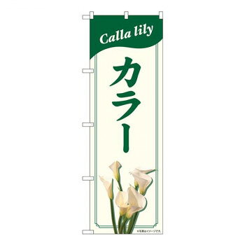 Nのぼり カラー NAD W600×H1800mm 82704 [ラッピング不可][代引不可][同梱不可]
