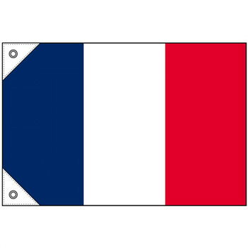 Promotion - N国旗(販促用) 23673 フランス ミニ