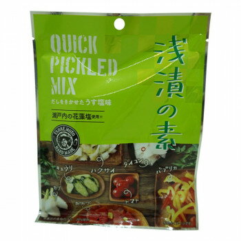 つけもと 花藻塩浅漬けの素 45g×10個