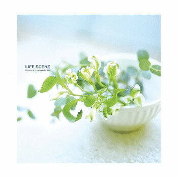 ナカバヤシ デジタルフリー10R ライフシーン ブルー LPF-1001-B