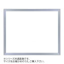 デッサン額 正方 桜平型 シルバー 25角250×250 アクリル