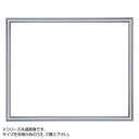 デッサン額 正方 桜かまぼこ シルバー 50角500×500 アクリル