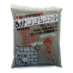 家庭化学工業 3分間接着セメント 1.5kg グレ- [ラッピング不可][代引不可][同梱不可]